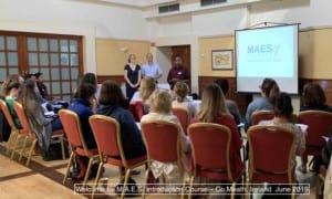 M.A.E.S. Therapy Introduction Course - Ireland 2019 for pediatric therapists