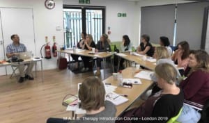 M.A.E.S. Therapy Introduction Course - London 2019 for Paediatric Therapists treating CP