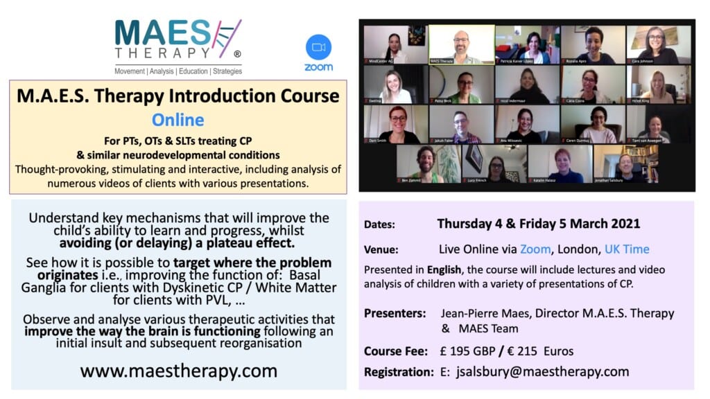 MAES Therapy 2-Day Introduction Course Online UK Time 4-5 March2021